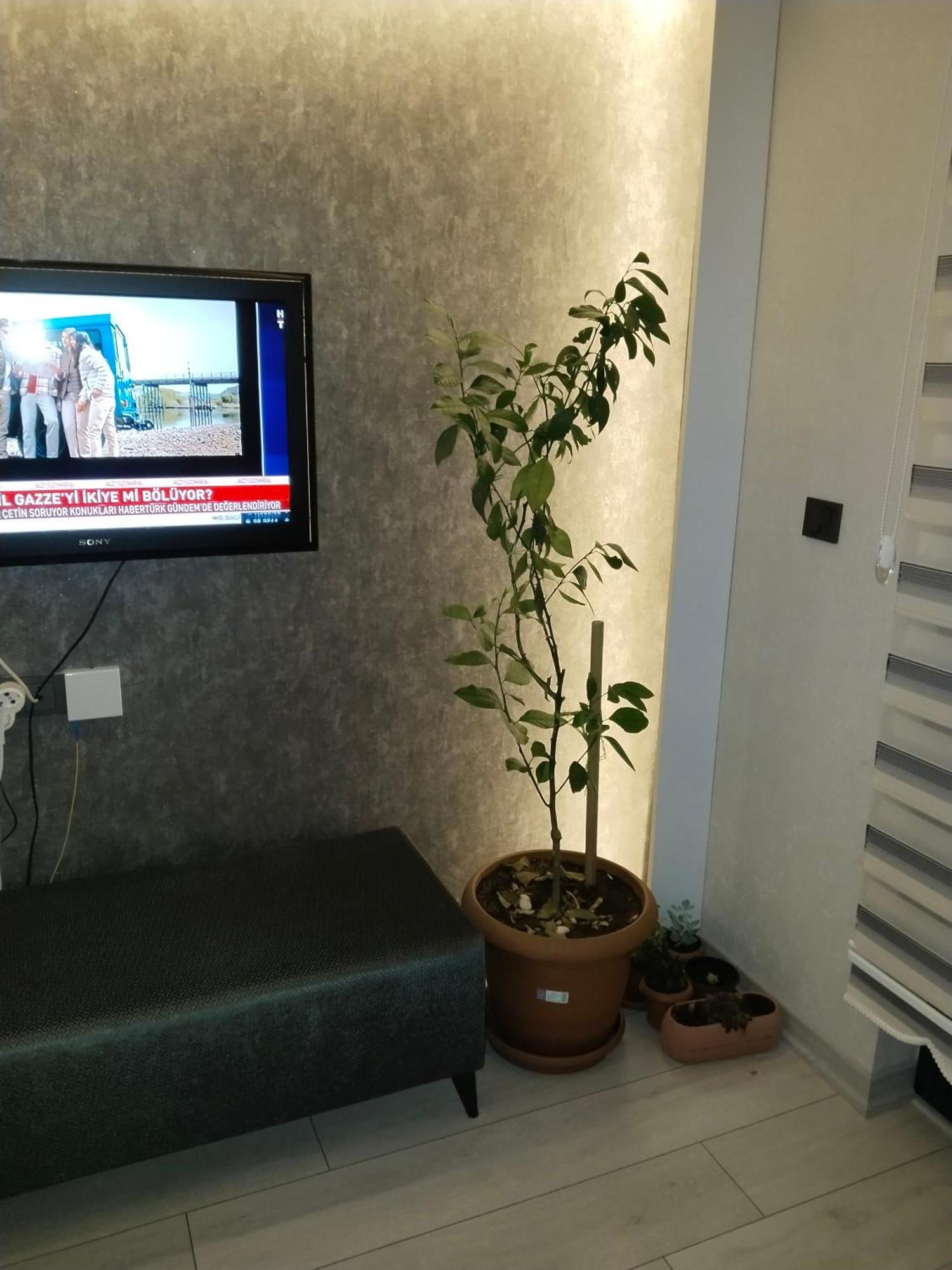 Ankara Esenboga Airport Luxury Rezidance Apart 외부 사진
